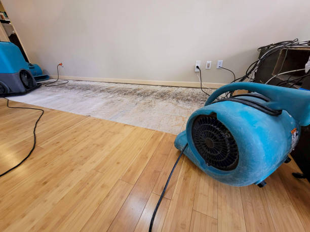 Professional Structural Drying technician working in Bridgeport, NY